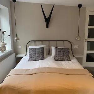 https://beach-lodge.zandvoort-hotels.com